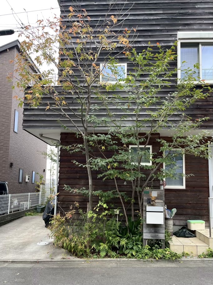 ƻϩ�ݤ˿���