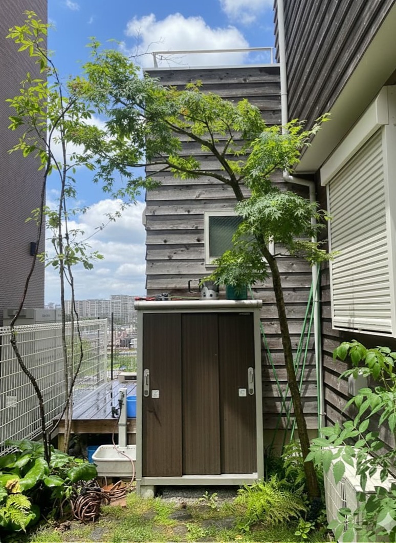 Gemini_Generated_Image_151wyj151wyj151w.jpg��