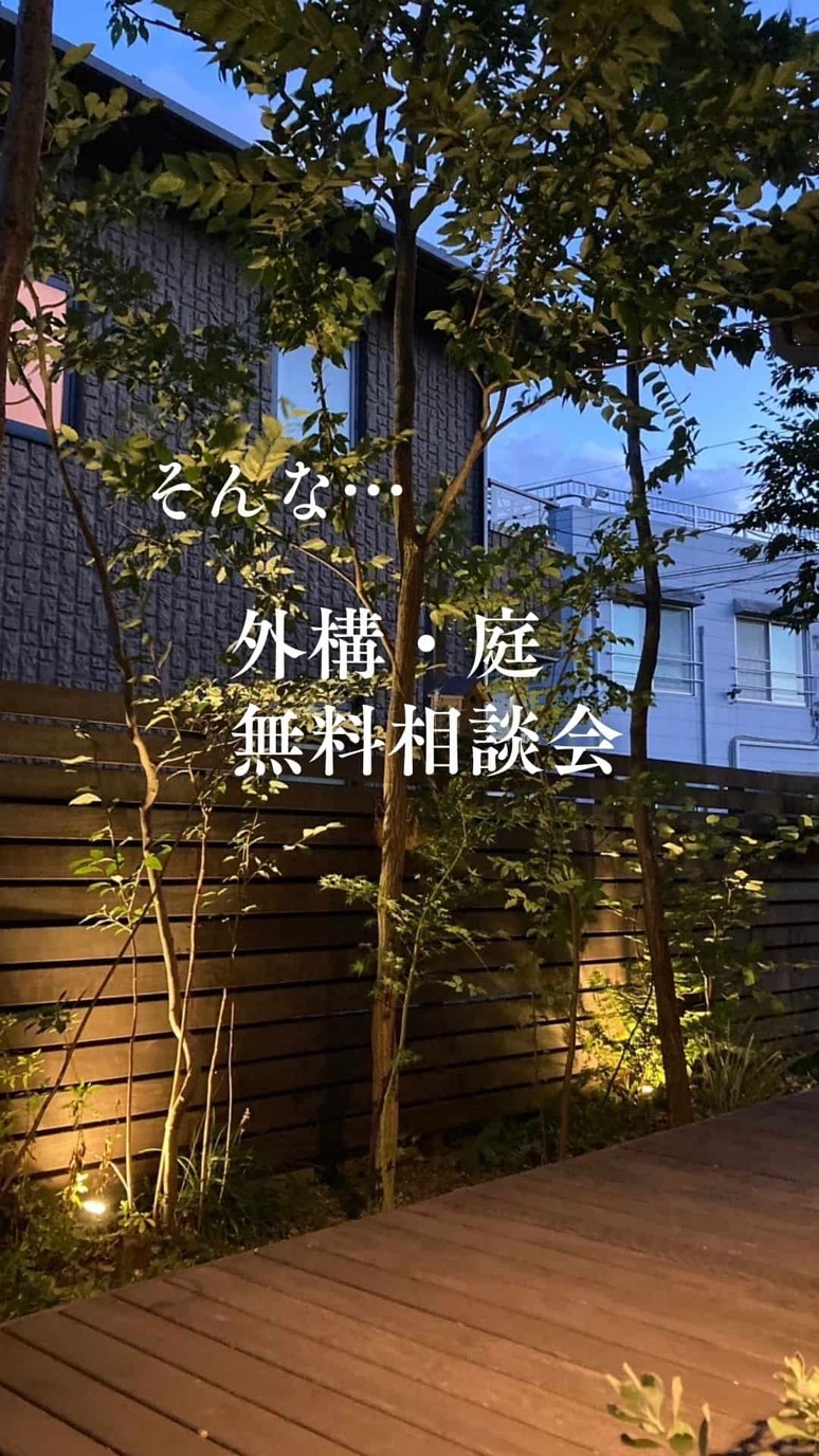 ��������̵�����̲�