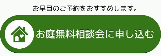 ����̵�����̲�˿�������