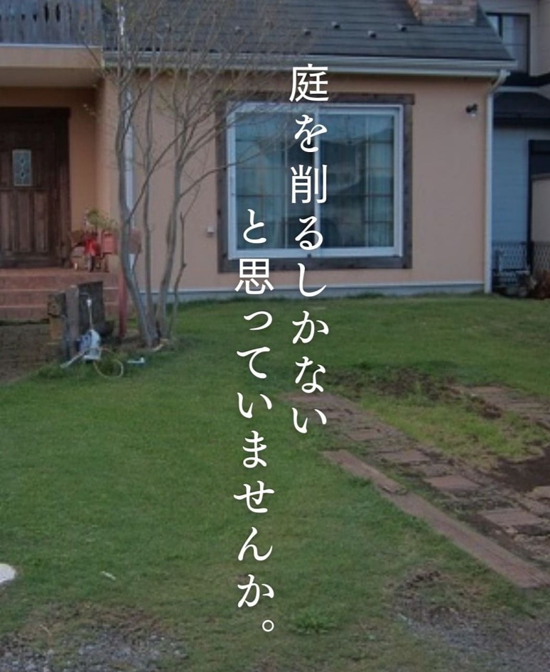 ��־����