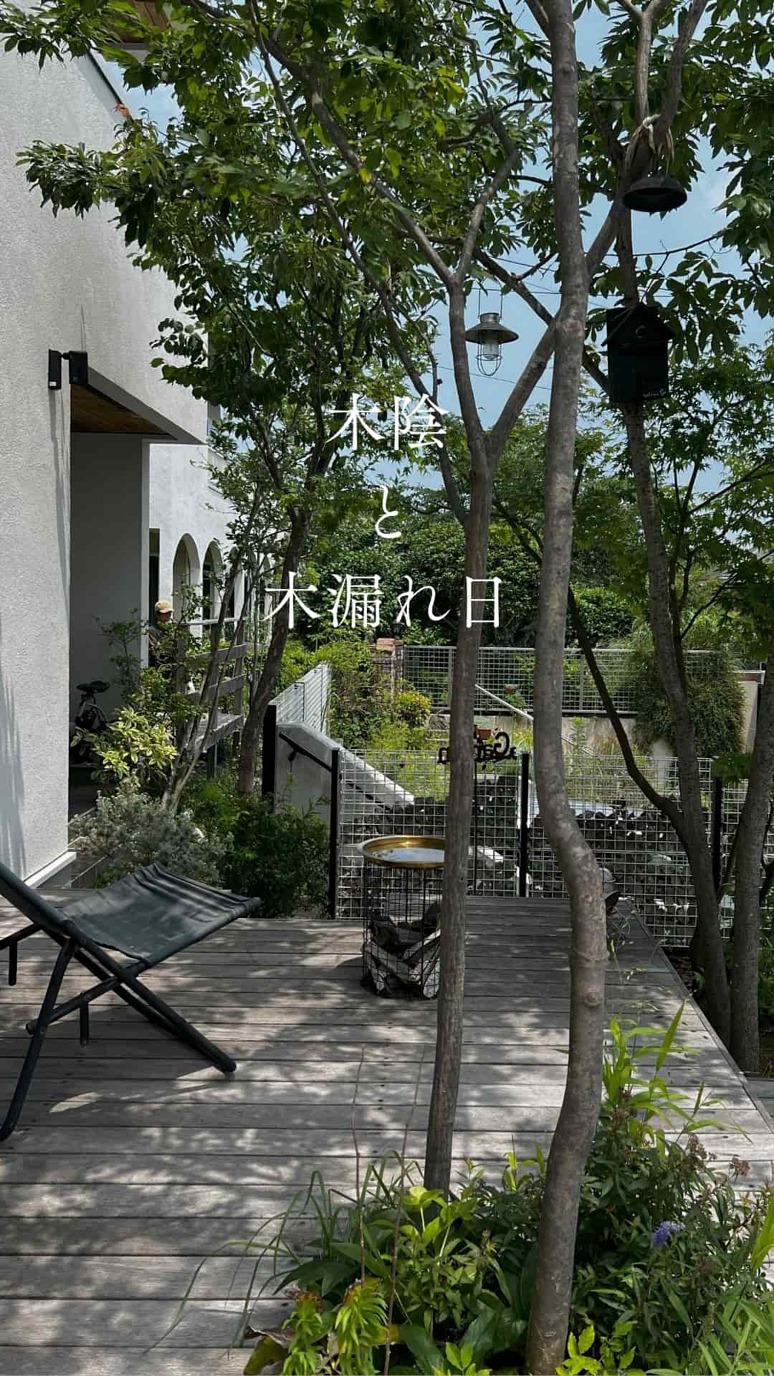 �ڱ�����ϳ����